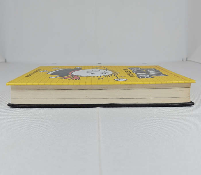 Timmy Failure: We Meet Again by Stephen Pastis - Hardback