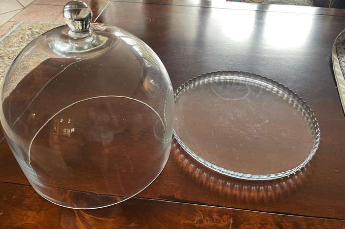 Cake cloche/dome
