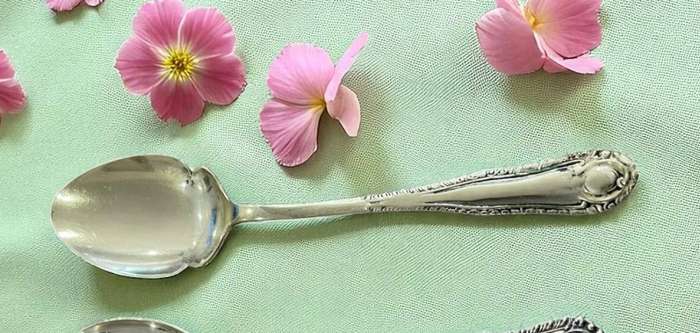 Jam/sugar spoon(NR26)