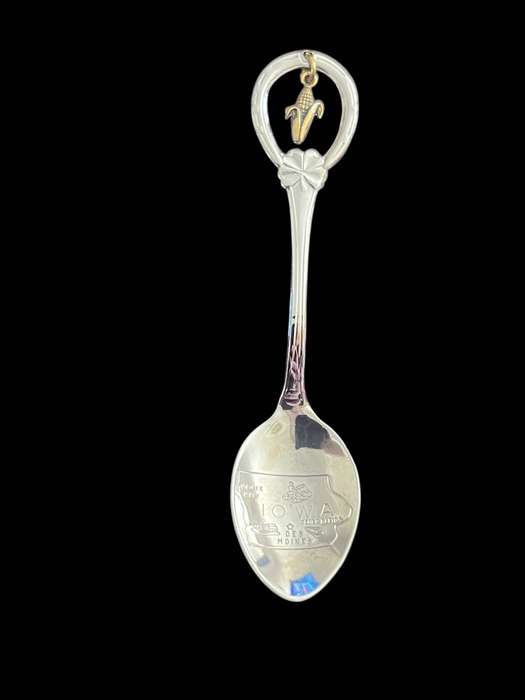 Teaspoon Souvenir USA