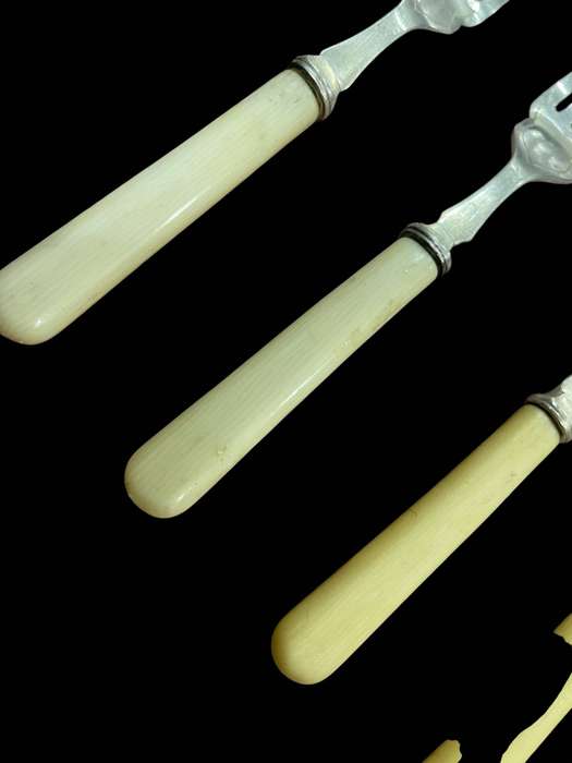 Dinner forks bone handled(NR20)