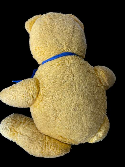 Teddy vintage/antique