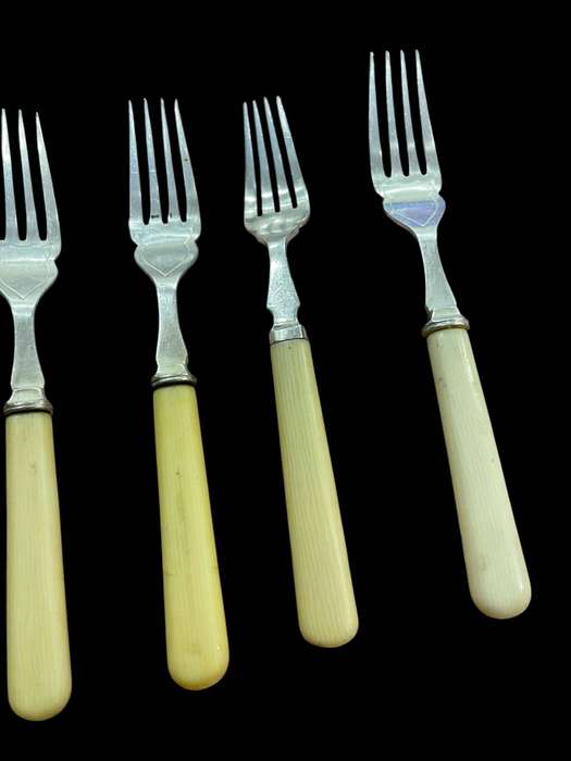 Dinner forks bone handled(NR20)