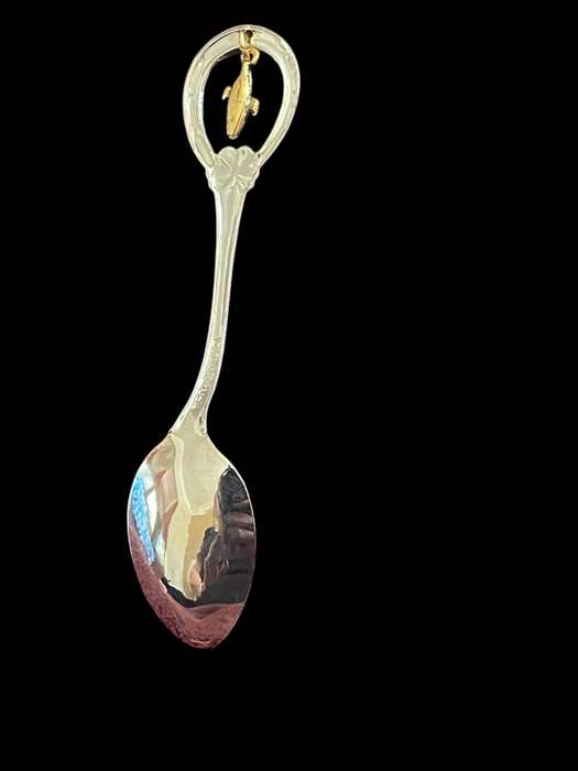 Teaspoon Souvenir USA