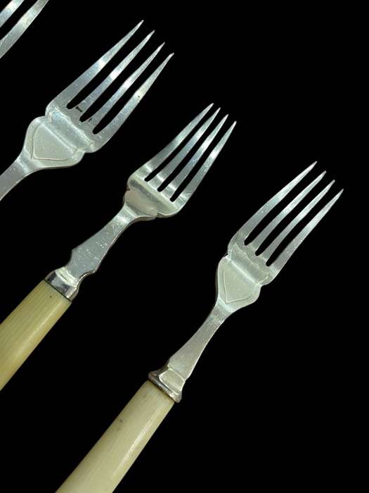 Dinner forks bone handled(NR20)
