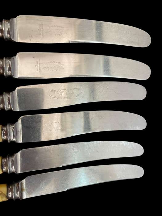 Knives bone handled(NR15)