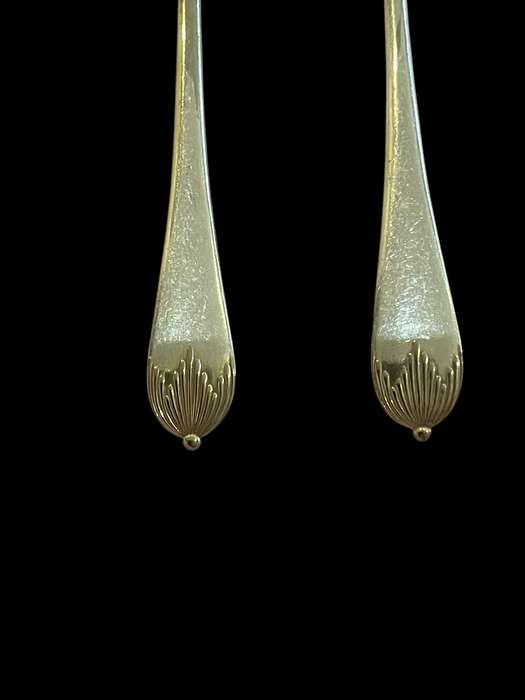 Spoons dinner(11)