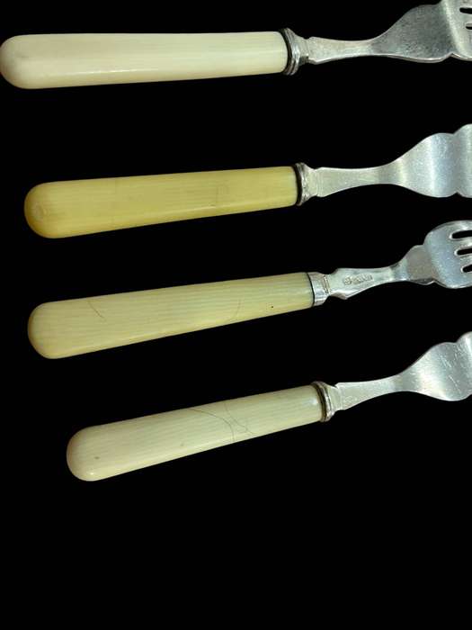 Dinner forks bone handled(NR20)