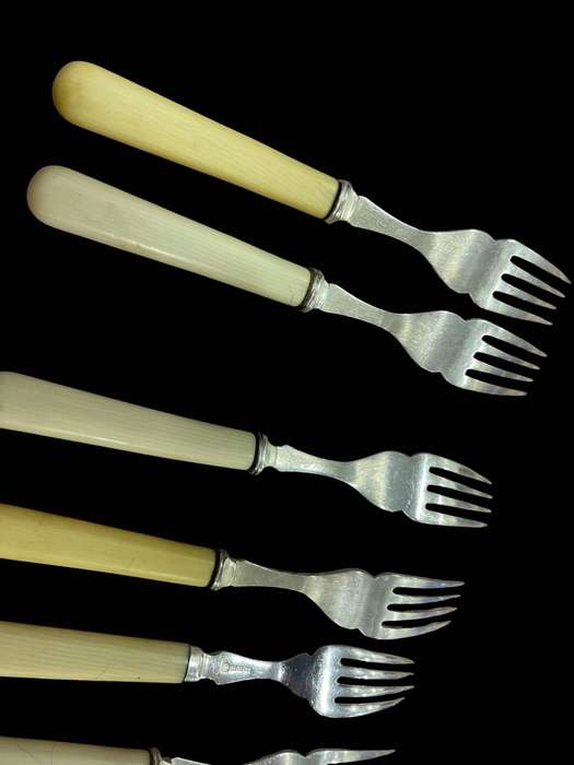 Dinner forks bone handled(NR20)