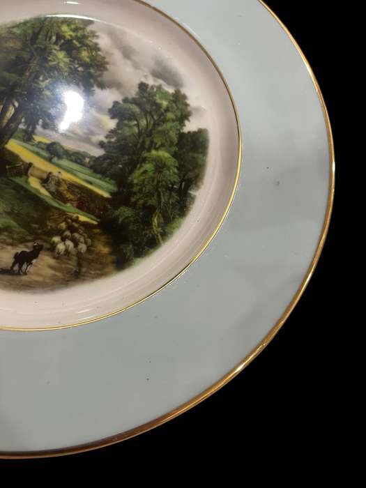 Plate display Springfield