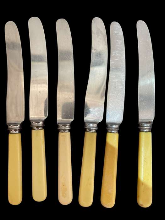 Knives bone handled(NR15)
