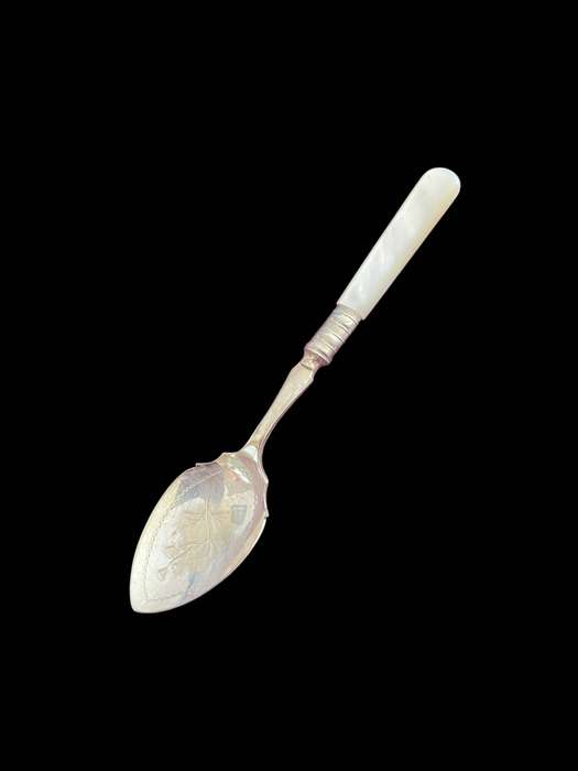 Jam/sugar spoon mother of pearl(NR15)