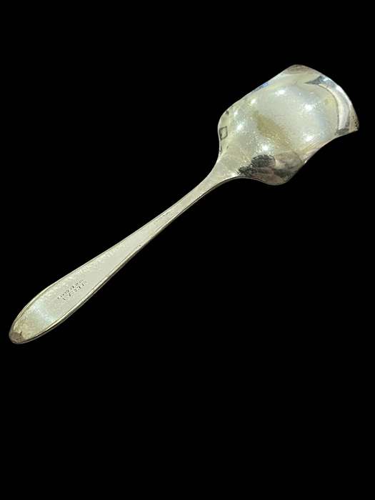Jam/sugar spoon(NR41)