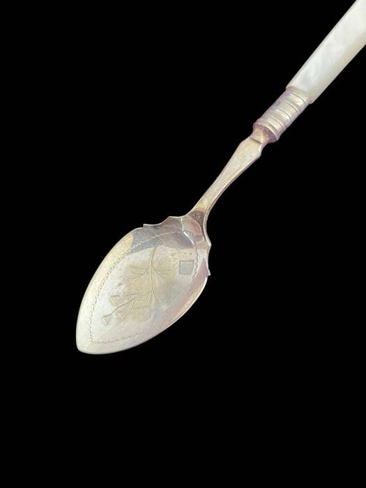 Jam/sugar spoon mother of pearl(NR15)