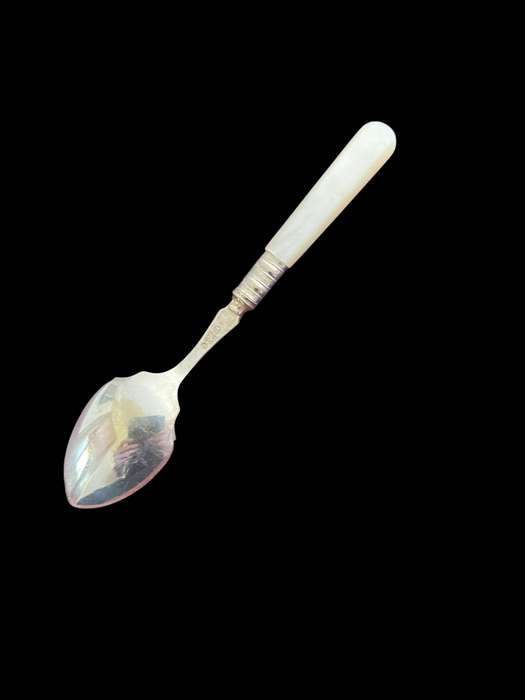 Jam/sugar spoon mother of pearl(NR15)
