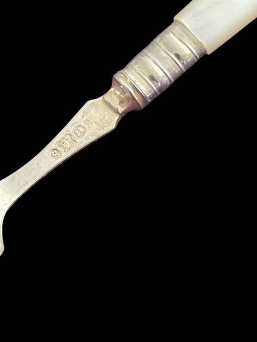Jam/sugar spoon mother of pearl(NR15)
