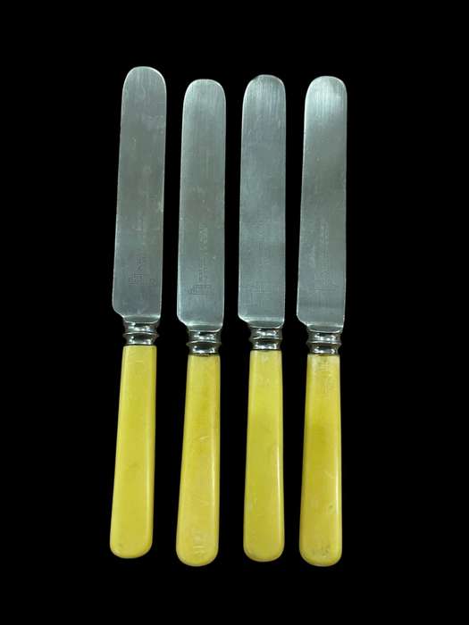 Knives bone handled(NR33)