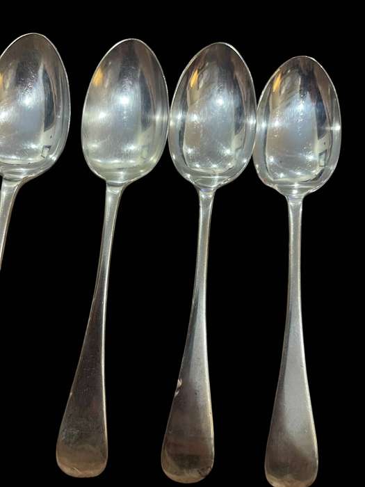 Dinner spoons(NR6)
