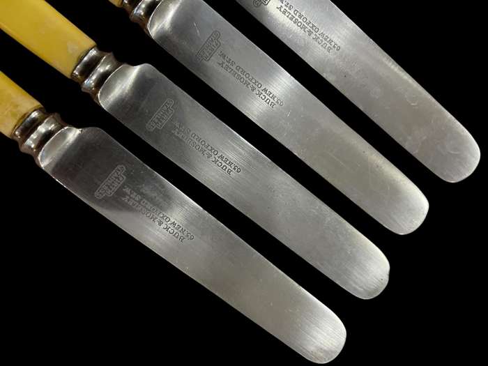 Knives bone handled(NR33)