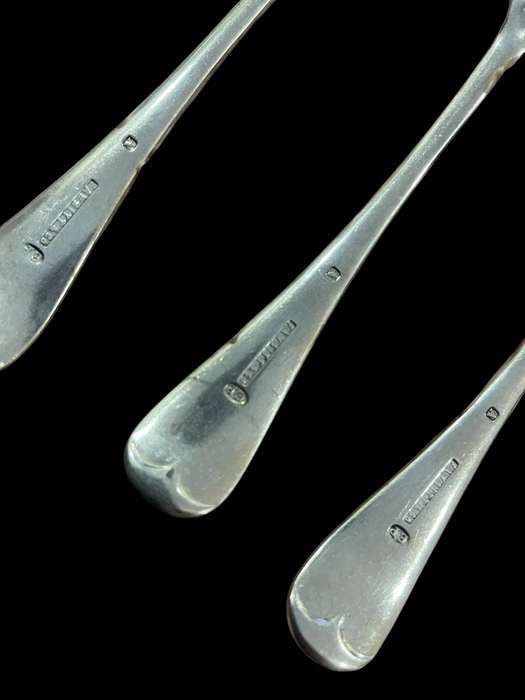 Dinner spoons(NR6)