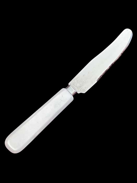 Butter/pate knife faux mother pearl(NR12)