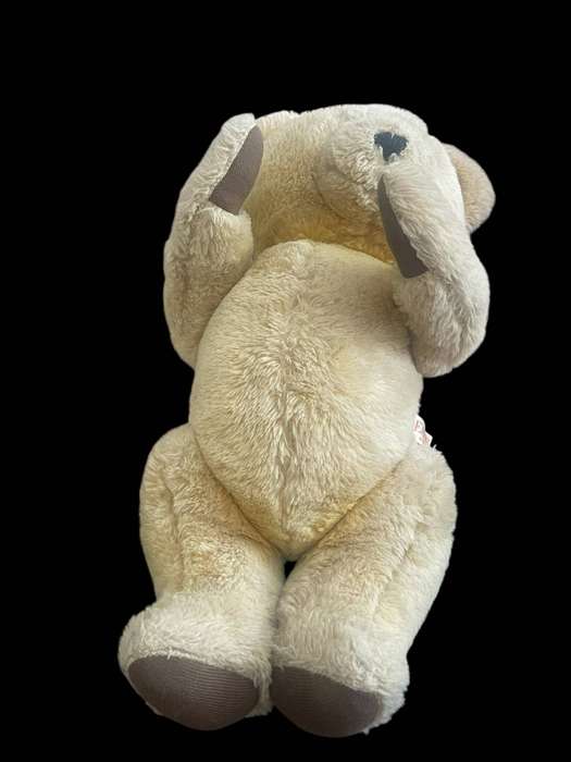 Teddy Bear Deans Great  Britain