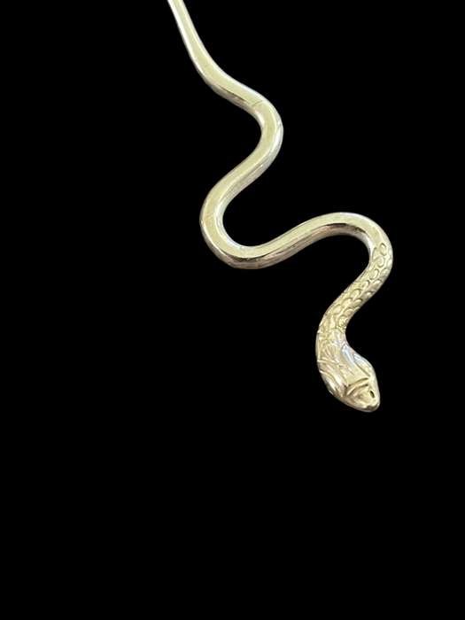 Teaspoon snake