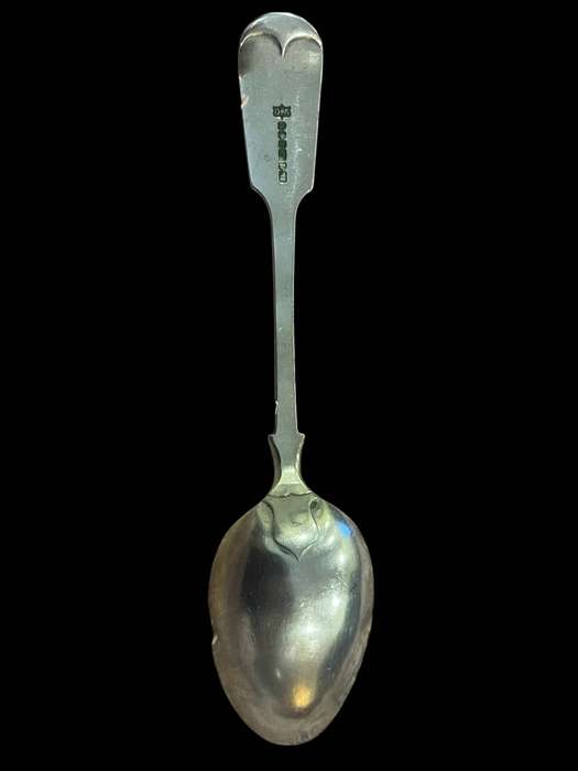 Serving spoon(NR3)