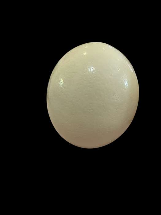 Ostrich eggs each