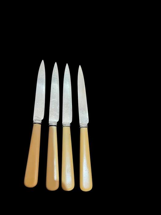 Knives bone handled(NR26)