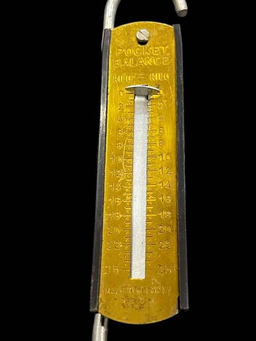 Scale pocket Germany