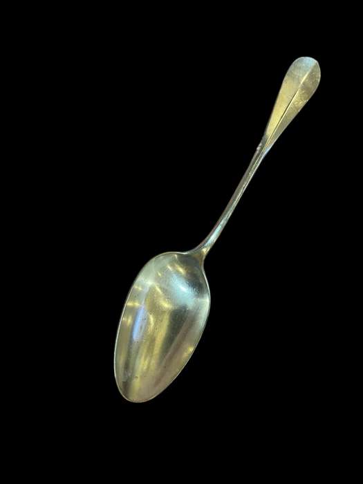 Serving spoon large(NR34)