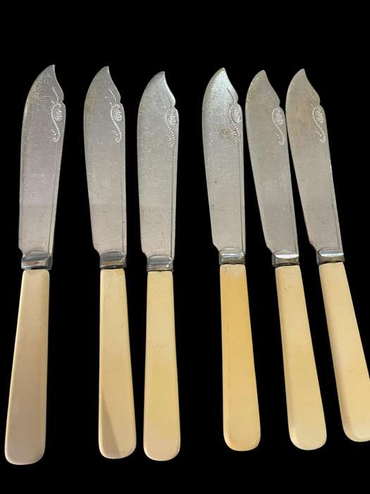 Knives bone handled(NR12)