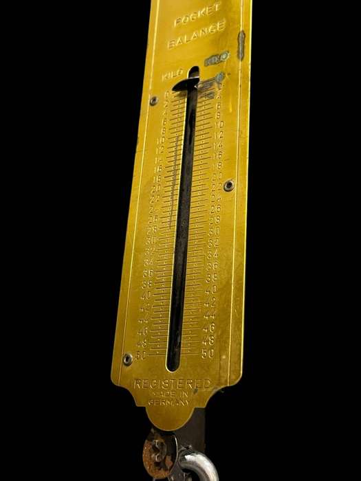 Scale pocket Germany
