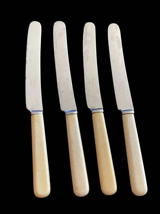 Butter knives bone handled(NR46)