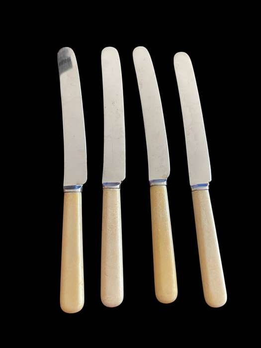 Butter knives bone handled(NR46)