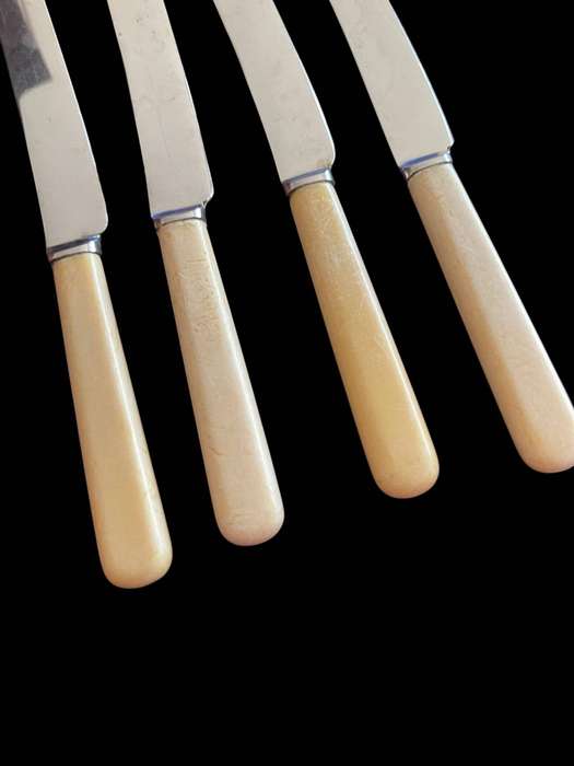 Butter knives bone handled(NR46)