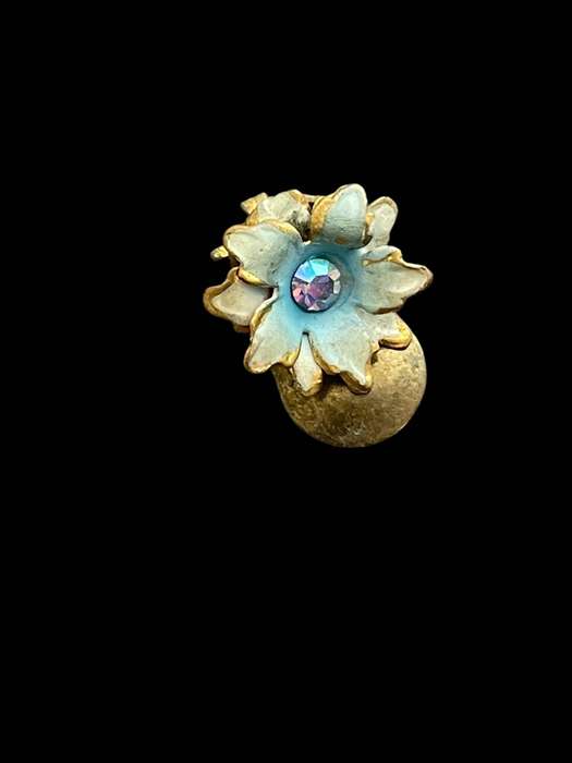 Earrings clip on