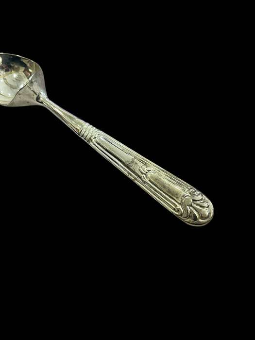 Ice cream ladle/scoop(NR21)