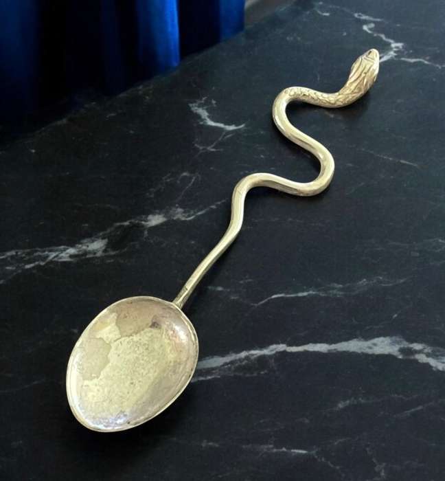 Teaspoon snake