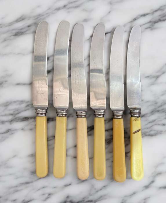 Knives bone handled(NR15)