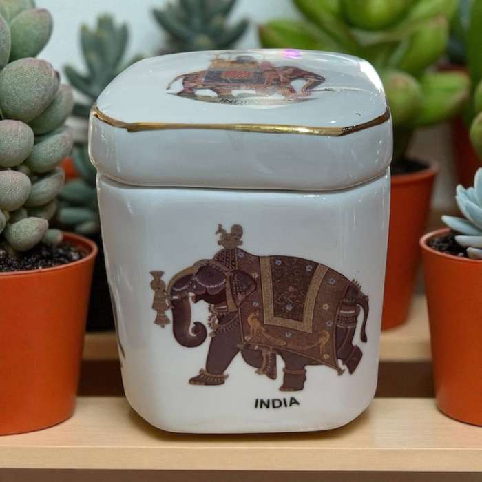 Trinket holder India