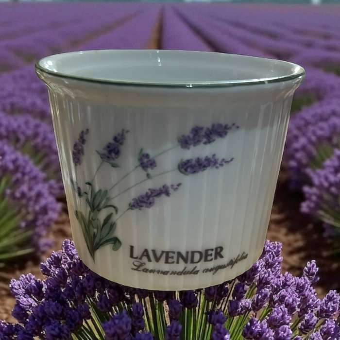Ramekin Wiesenthal lavender