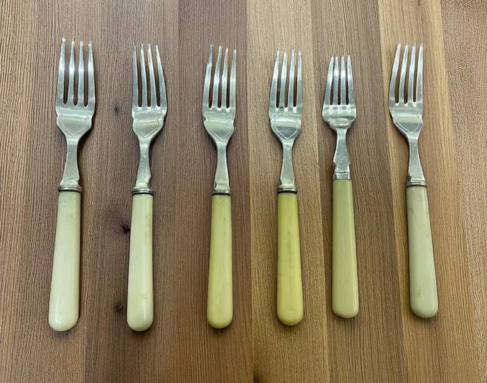 Dinner forks bone handled(NR20)