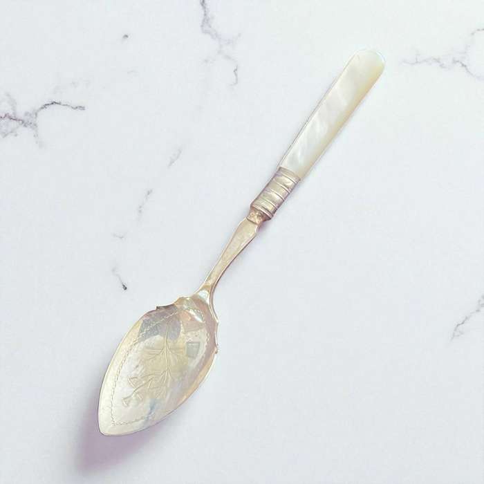 Jam/sugar spoon mother of pearl(NR15)