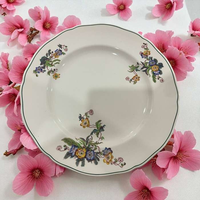 Dinner/display plate Spode