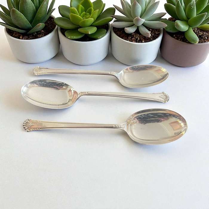 Serving spoons(NR48)each
