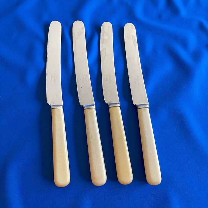 Butter knives bone handled(NR46)