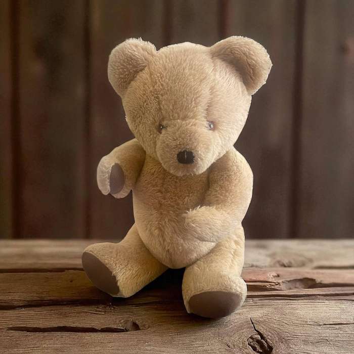 Teddy Bear Deans Great  Britain