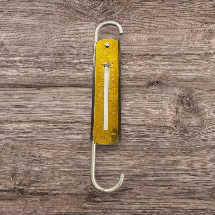 Scale pocket Germany